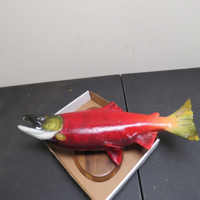 lot 104 image: Mounted Fish