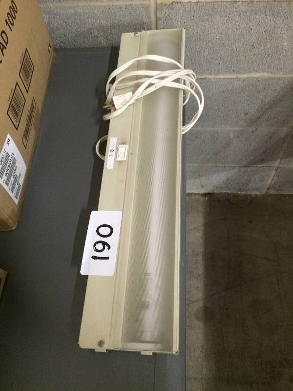 Fluorescent light