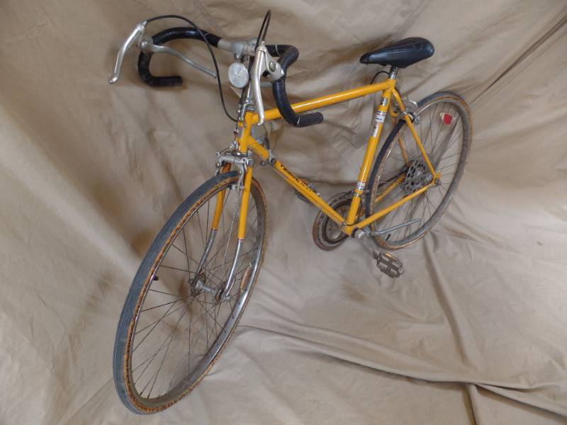 Vintage Bike