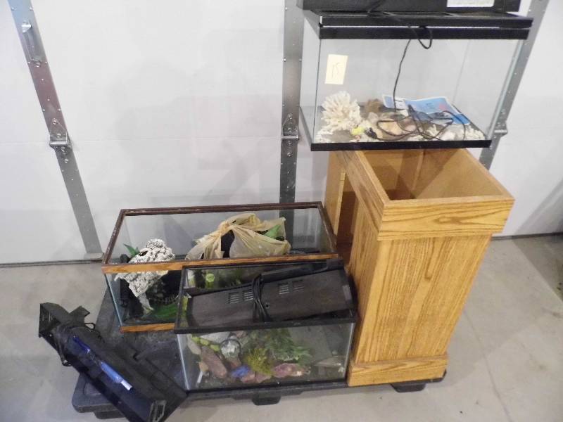 3 Aquariums, Stand, Lights