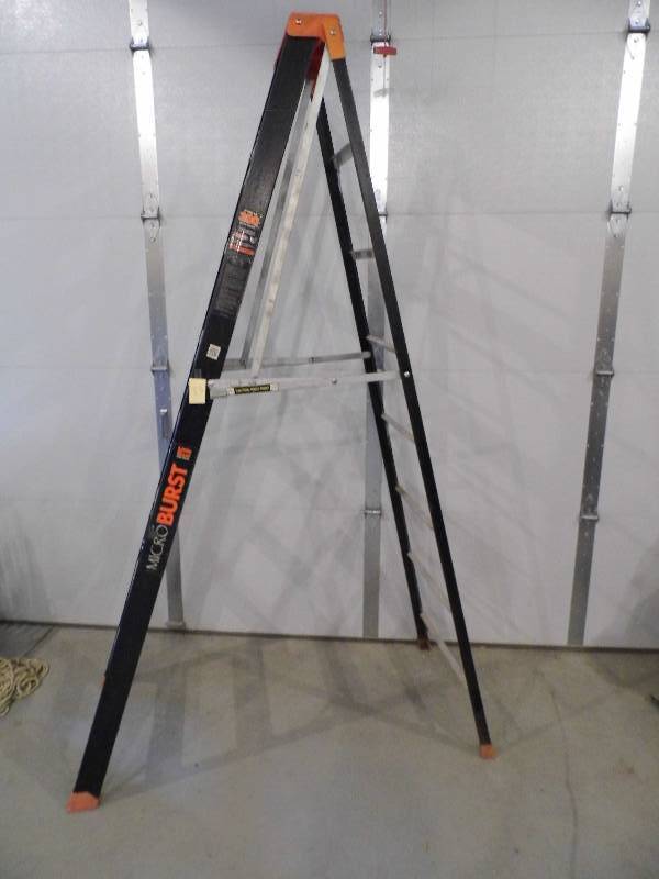 Microburst Little Giant Ladder 8