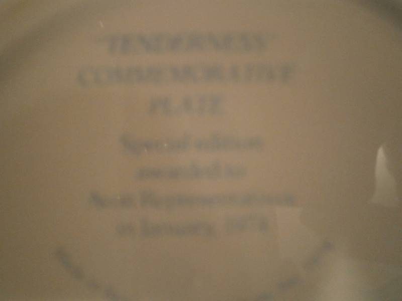 Avon Plate Tenderness 1974