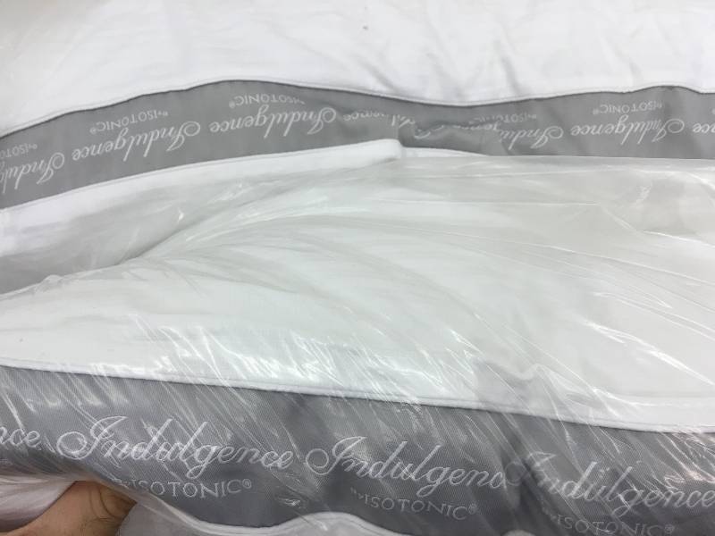 lot 310 image: 2 indulgence pillows