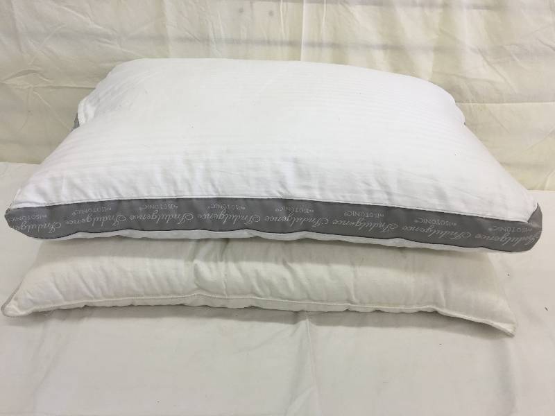 lot 426 image: 2 pillows
