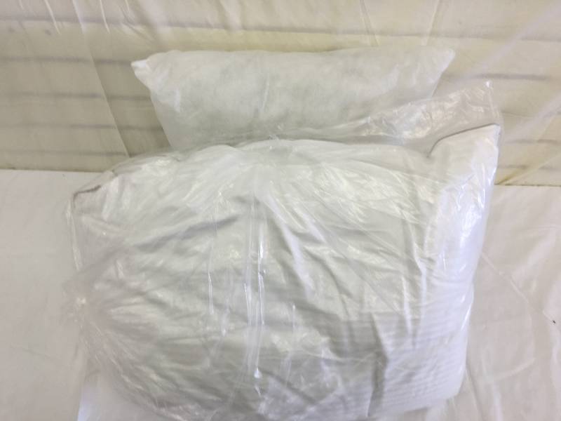 lot 427 image: 2 pillows