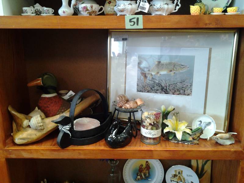 Framed 2011 Minnesota Trout Stamp by David Blakney & Contents On Shelf (Sea Shells, Birds, Misc)