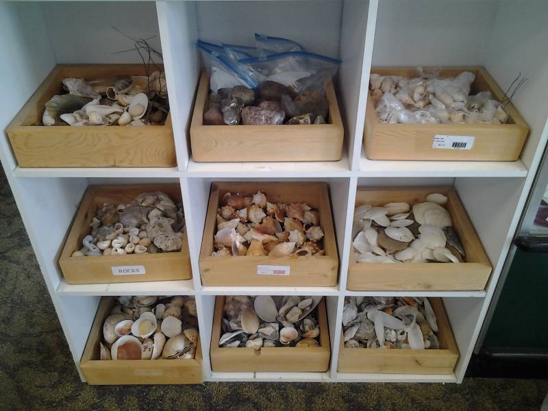 9-Wood Crates Of Rocks & Sea Shells