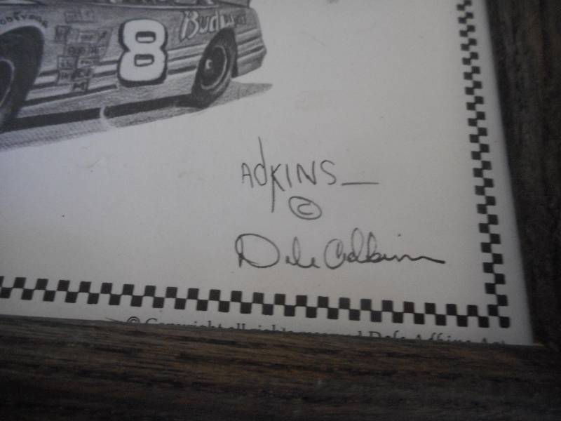 DALE EARNHART PICTURE