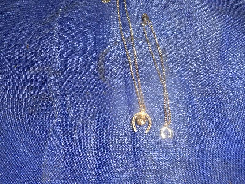 HOSESHOE KNECKLACE AND BRACLET