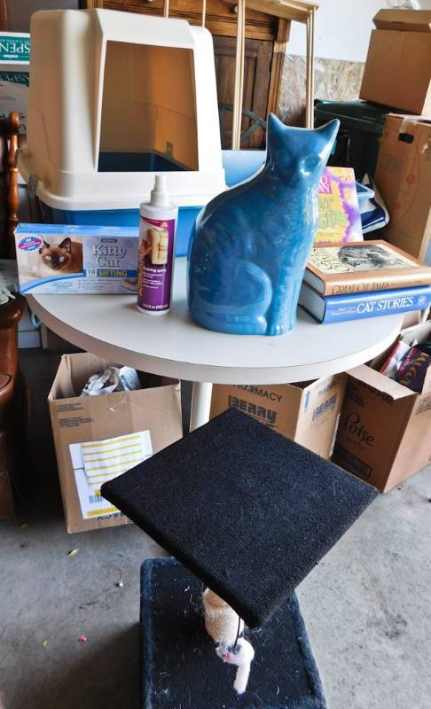 cat lot items