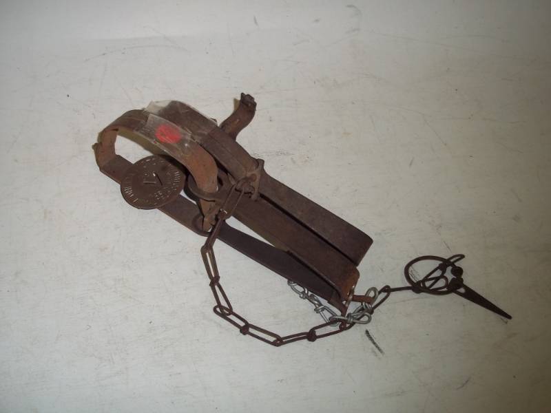 Pair of pan traps