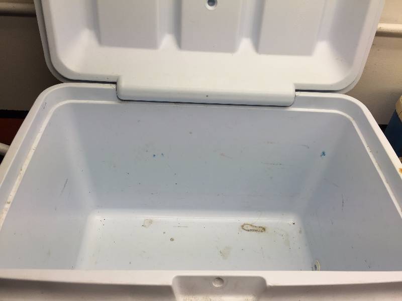 lot 13 image: RUBBER MAID COOLER, VIKING COOLER