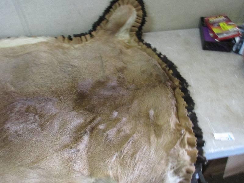 Deer hide blanket August Consignments 3 KBID