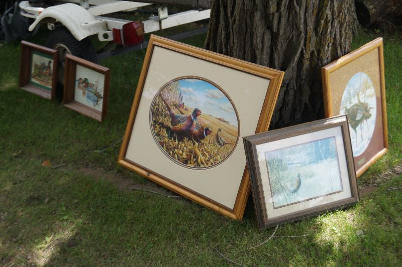 Wildlife Paintings