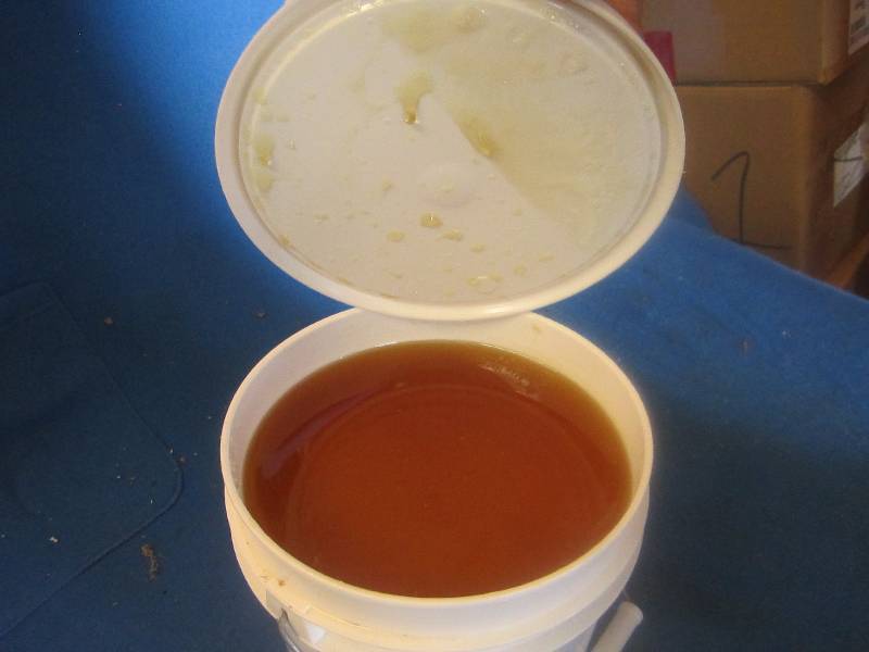 One gallon of pure natural Minnesot...