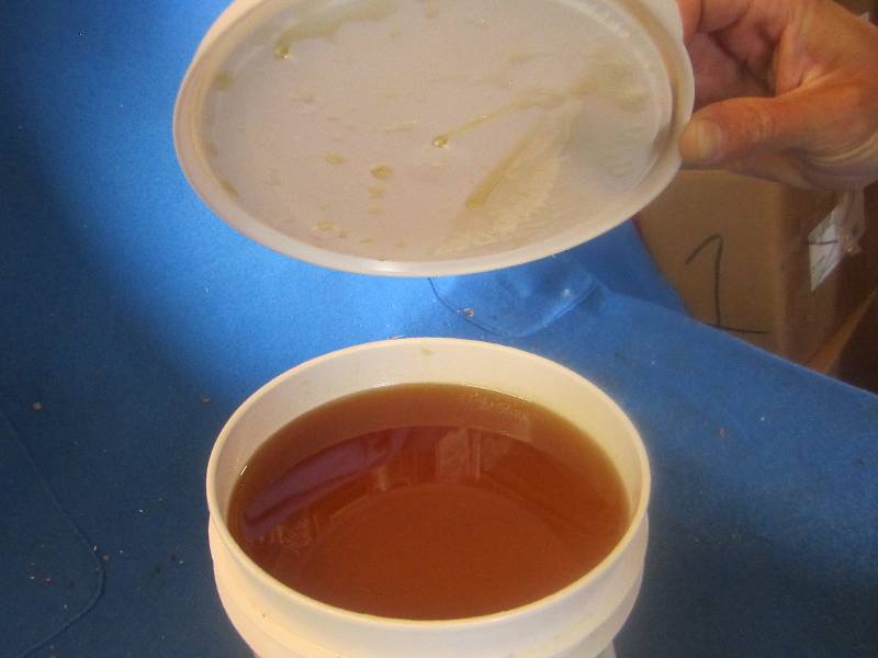 One gallon of pure natural Minnesot...
