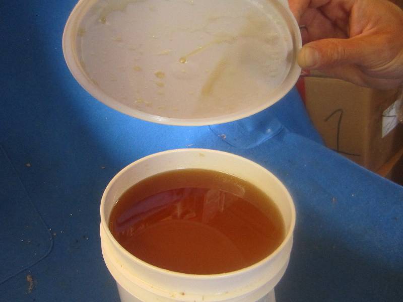 One gallon of pure natural Minnesot...