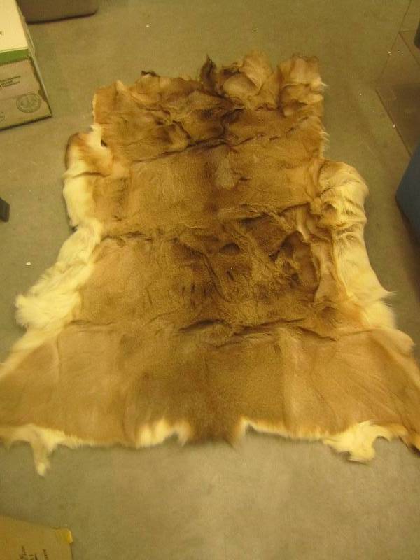 Deer skin ...
