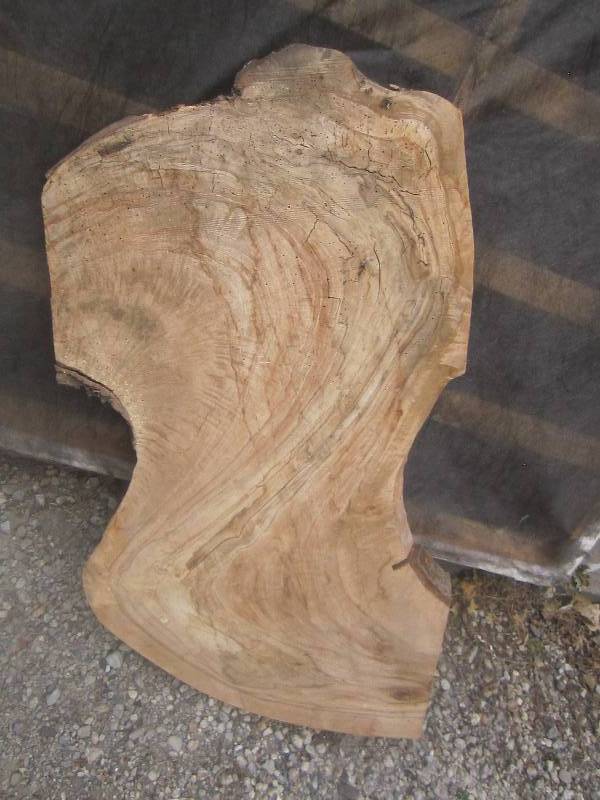 wooden slab dryed and ready to be m...