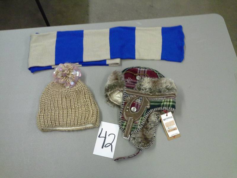 Winter Accessories Lot