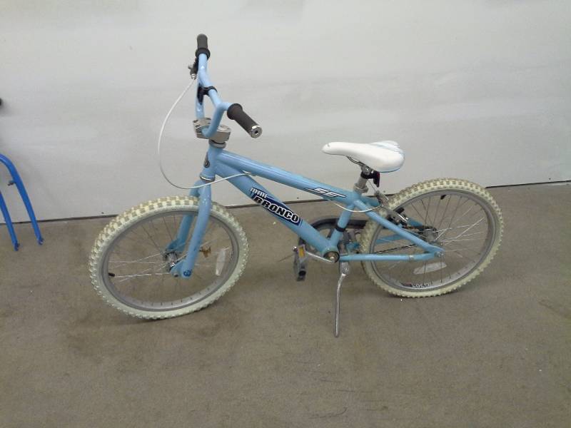 Bronco SE Bike