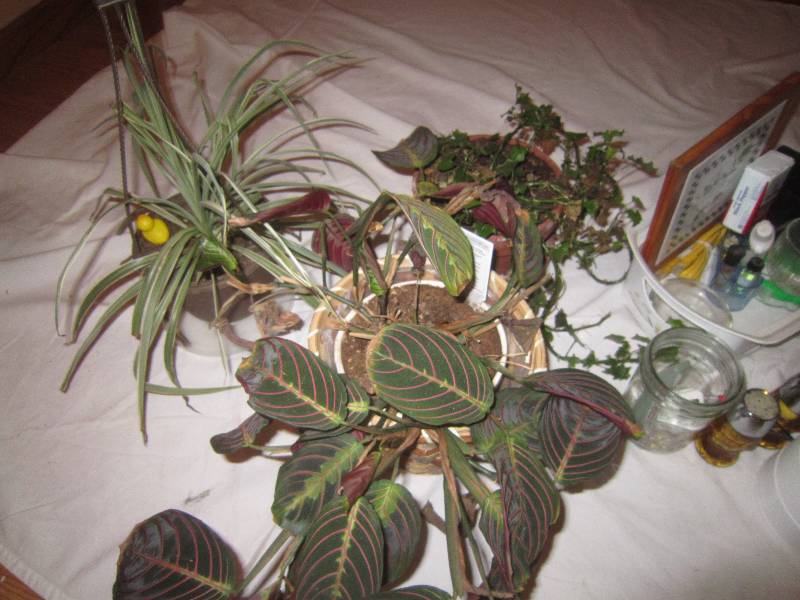 lot 9 image: Misc Lot