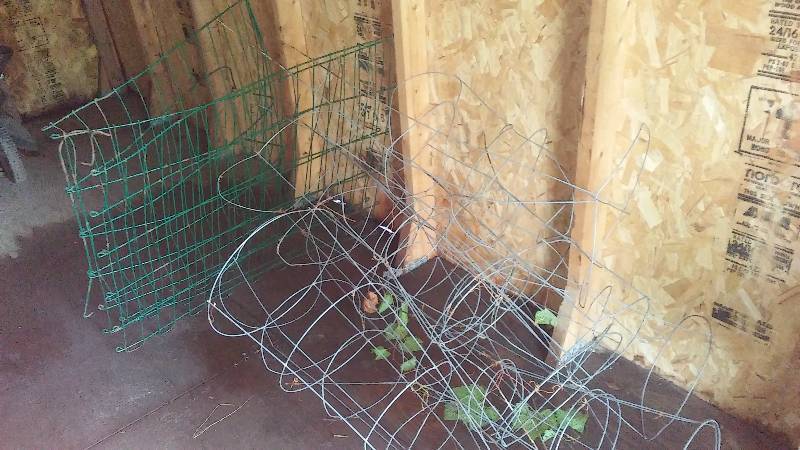 lot 107 image: Lot of Tomato Stands and Misc