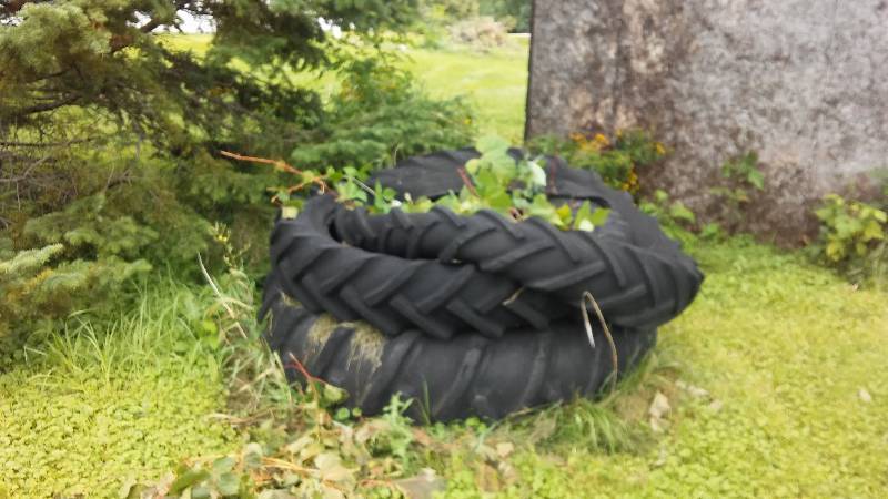 lot 114 image: 3 Tractor Tires - Great for Flower Bed or Sand Box
