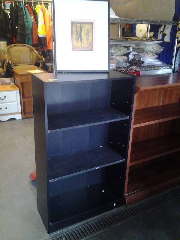 Black Book Shelf 28x12x48, Framed Art 17x21 (No Glass)