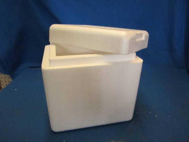 Cooler with ice packs...