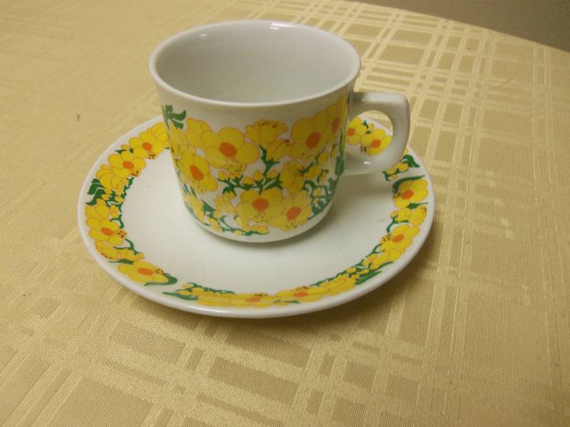 Norway Cup and Saucer