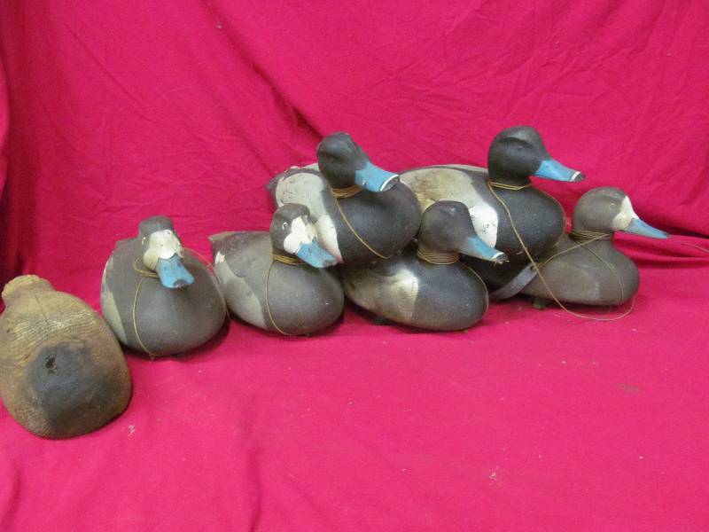 Duck Decoys