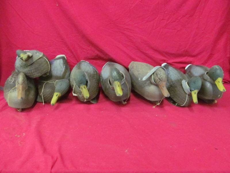 Duck Decoys