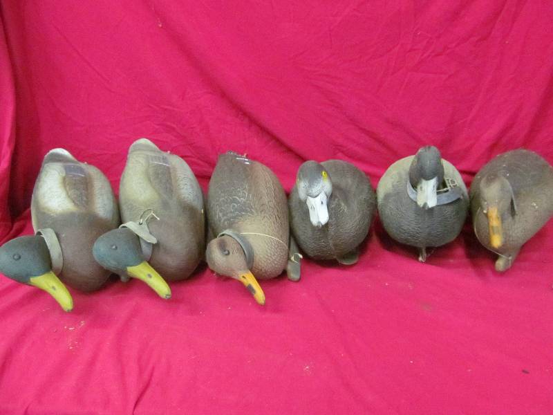 Duck Decoys