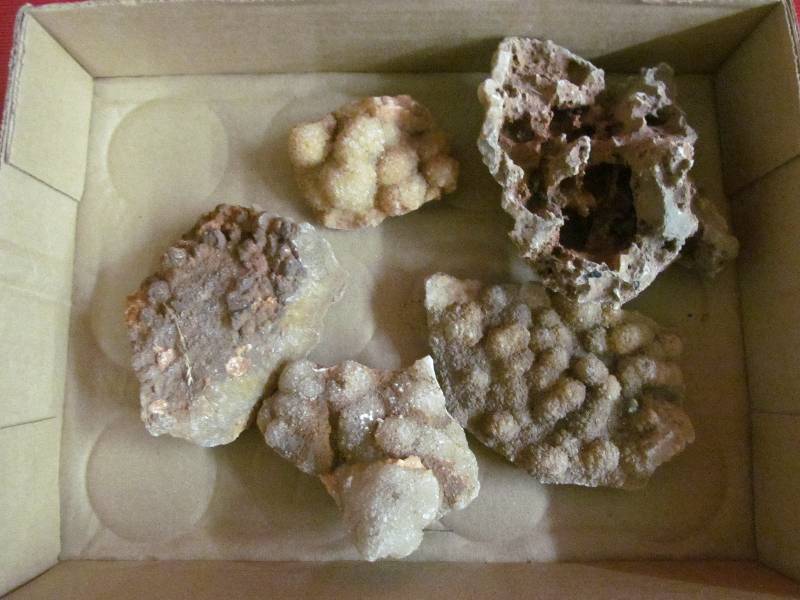 Fossil rock