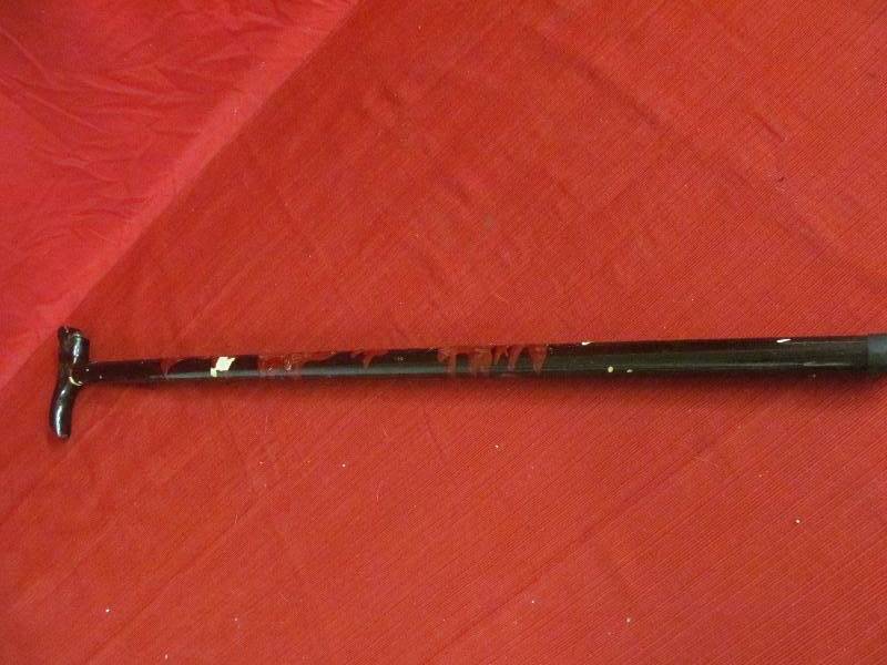 Walking Cane