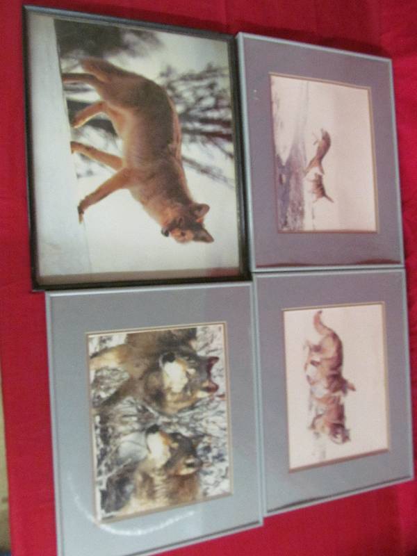 Wolf Pictures