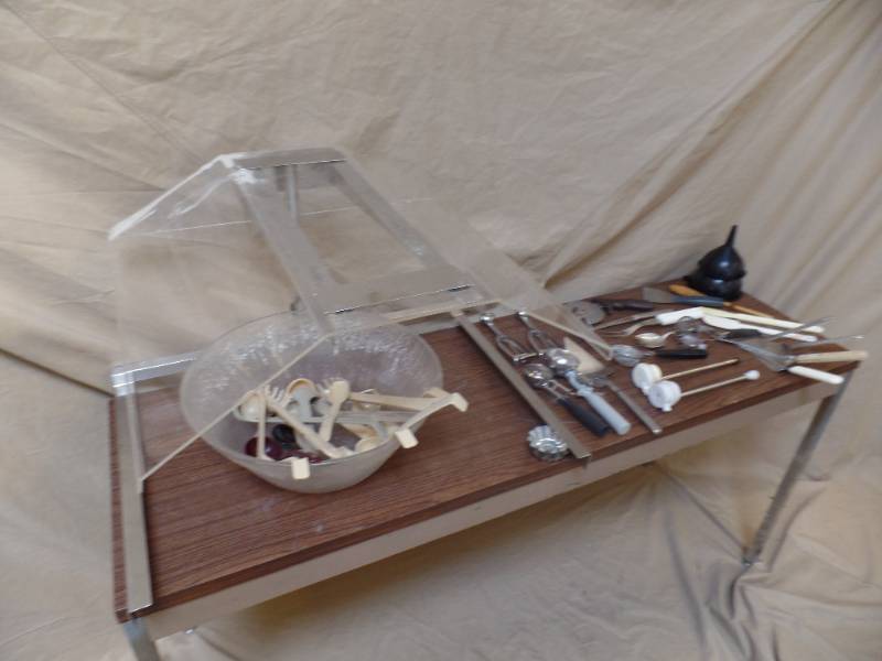 Sneeze Guard and Utensils