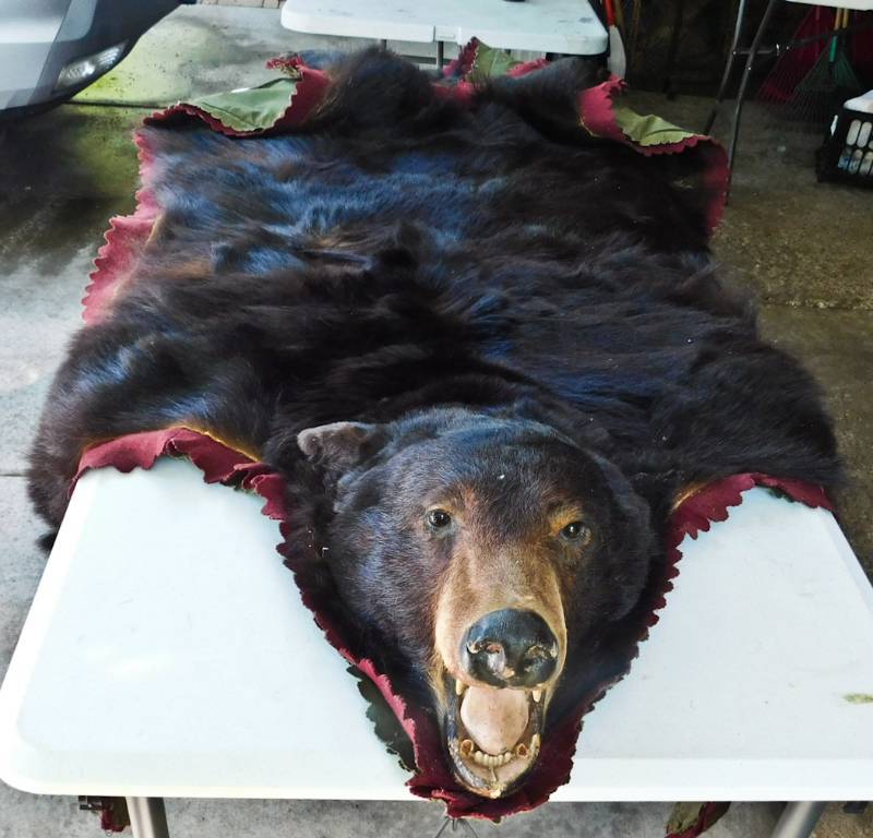 lot 8 image: vintage black bear rug
