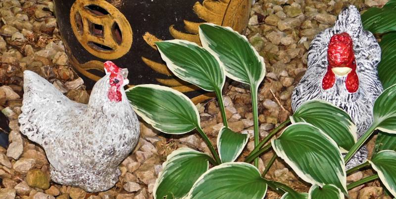 lot 85 image: 2 vintage concrete Roosters enamel painted