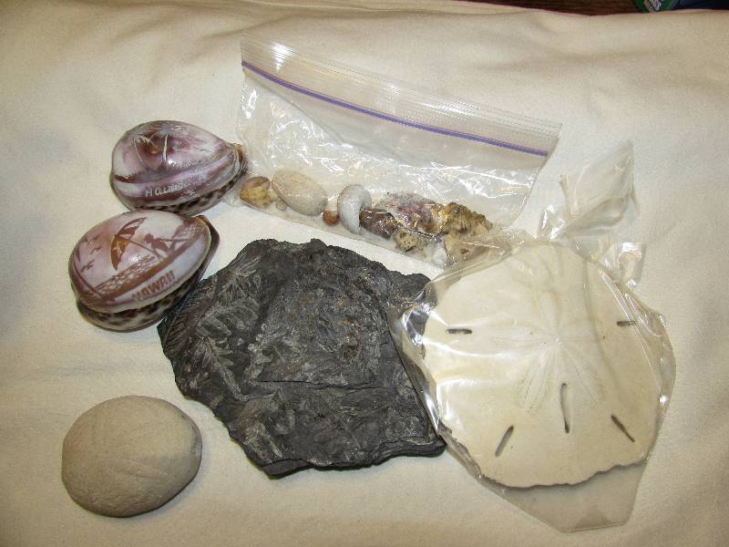 Shells