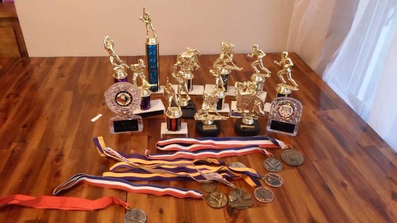 lot 51 image: Small Tote of Trophies