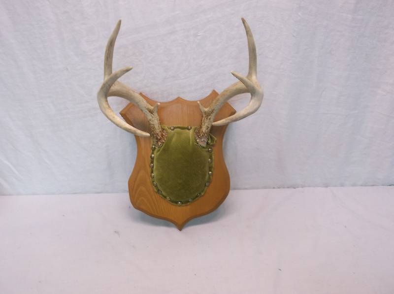 Deer Rack