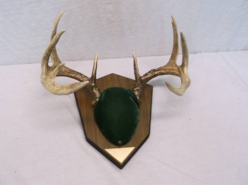 Deer Rack