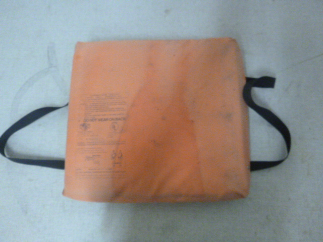 lot 48 image: Stearns Throwable Devise