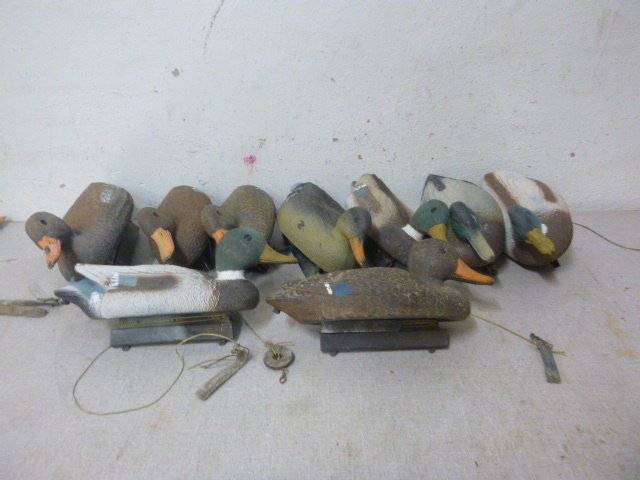 lot 68 image: 9 Duck Decoys