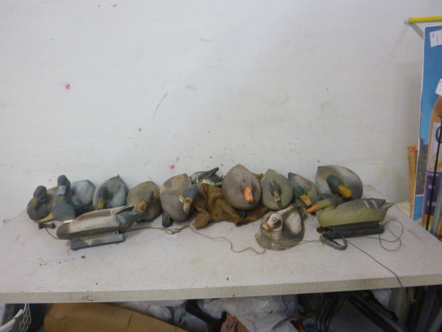 lot 132 image: 12 Duck Decoys