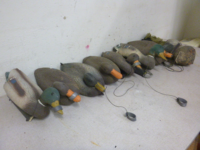 lot 174 image: 9 Duck Decoys