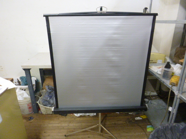 lot 294 image: Projector Screen