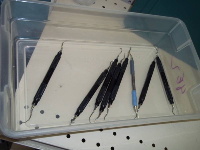 lot 288 image: 8 Dental picks with storage bin